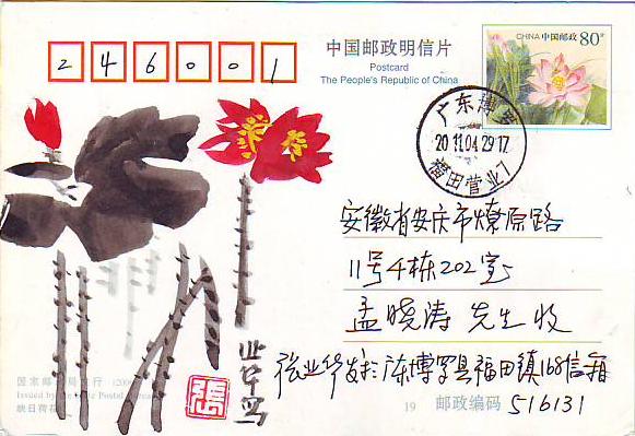 张业华（荷花）.JPG