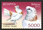 golub-02.jpg