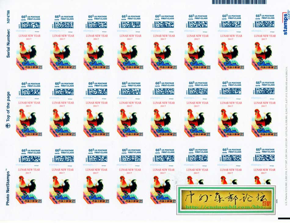 img002dfg.jpg