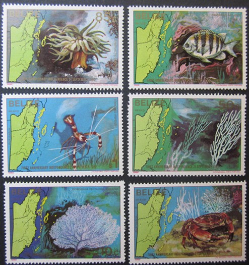 C1982年 地图和海洋生物6全.JPG