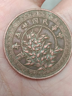 mmexport1757941941474.jpg