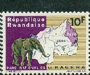 C1965.jpg