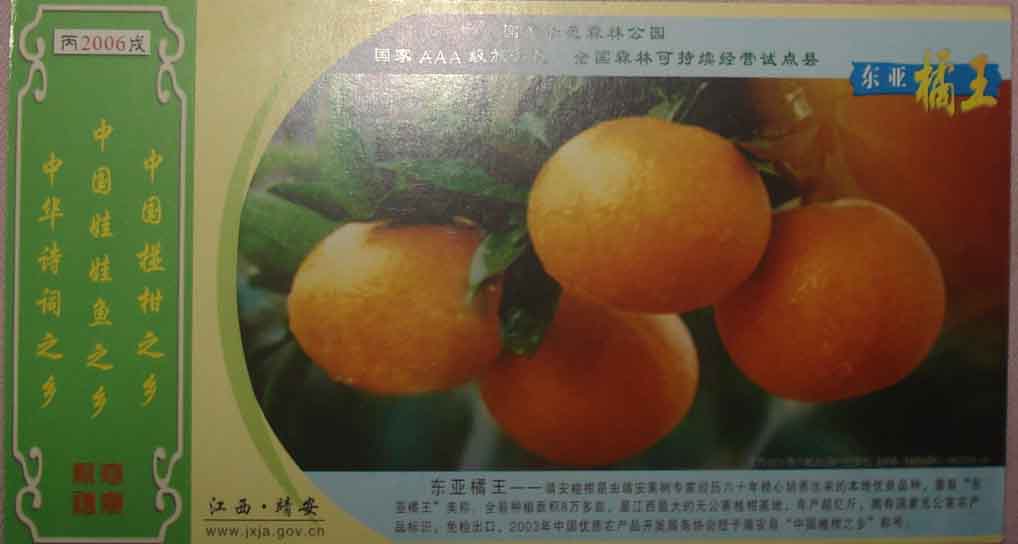 橘子金卡.jpg