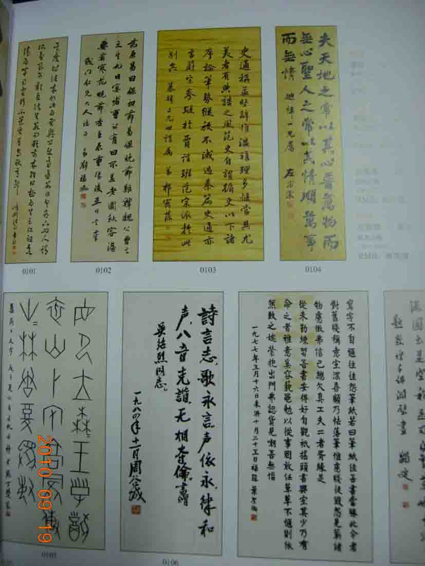 DSCN4800.JPG