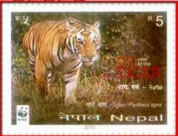 尼泊尔2010年虎年.jpg
