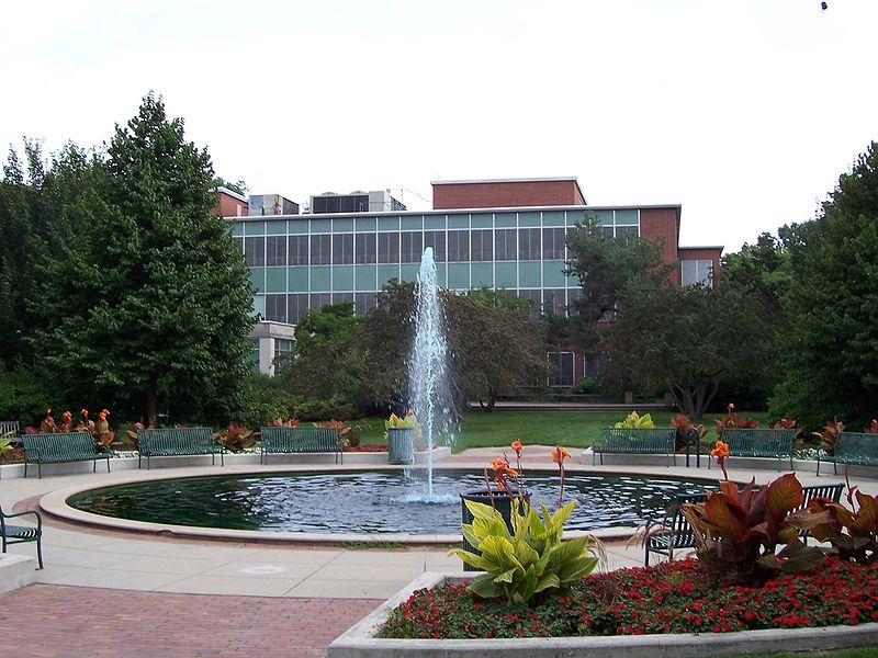 MSU Student Services Building.jpg